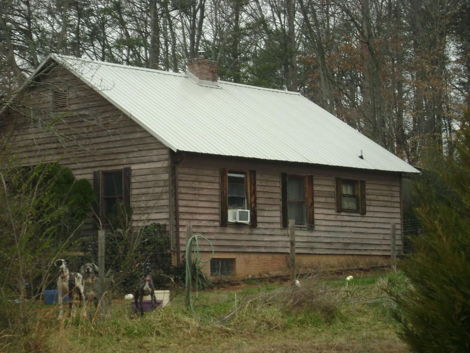 White metal roof on an old wood sided farmhouse, from a Asphalt Shingle Roof Repair job in Davis City